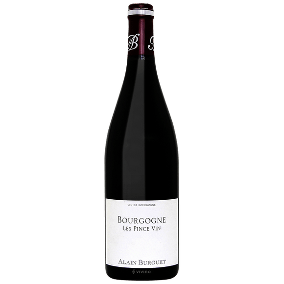 Domaine Jean Luc & Eric Burguet Bourgogne Les Pince Vin 2019